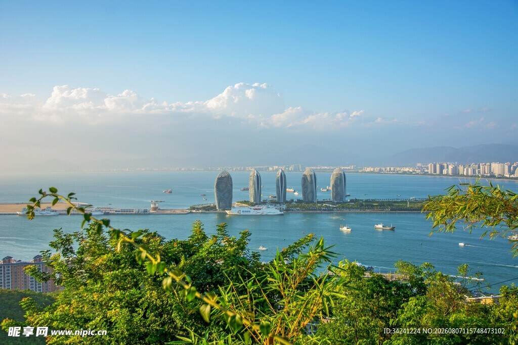海滨城市风光绿植伴高楼