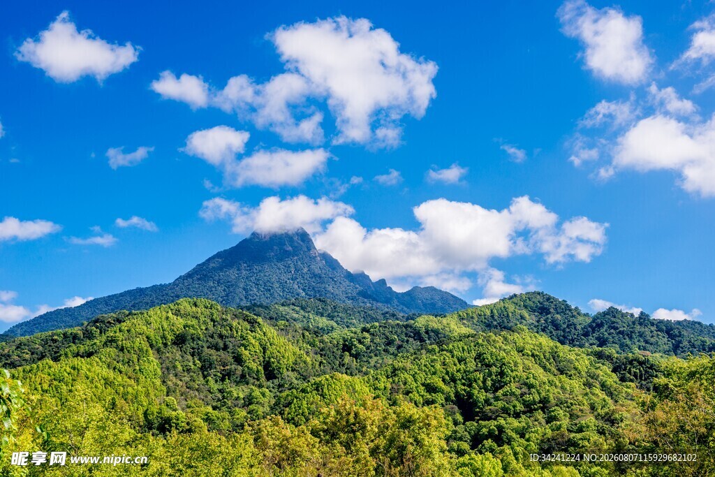青山蓝天间的秀丽山林