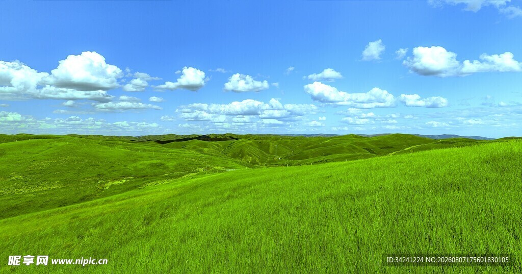 广袤绿野蓝天白云美景