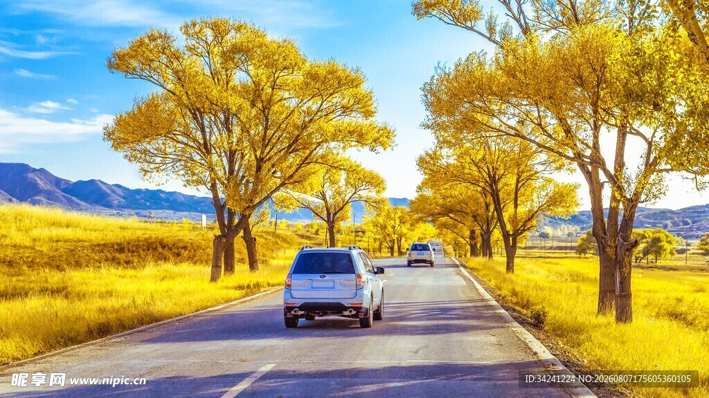 秋日公路上的自驾之旅