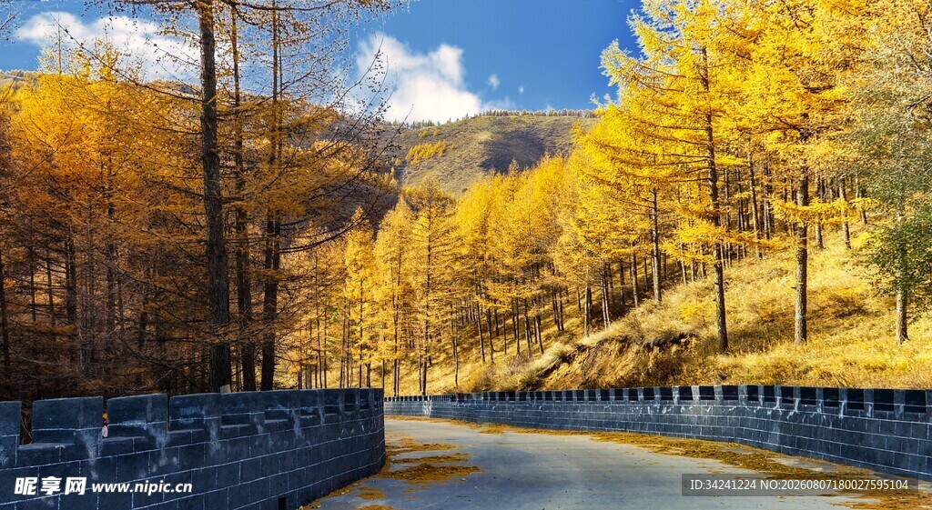 秋日山间公路美景