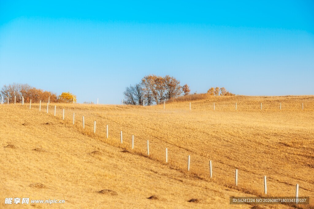 秋日旷野围栏风景