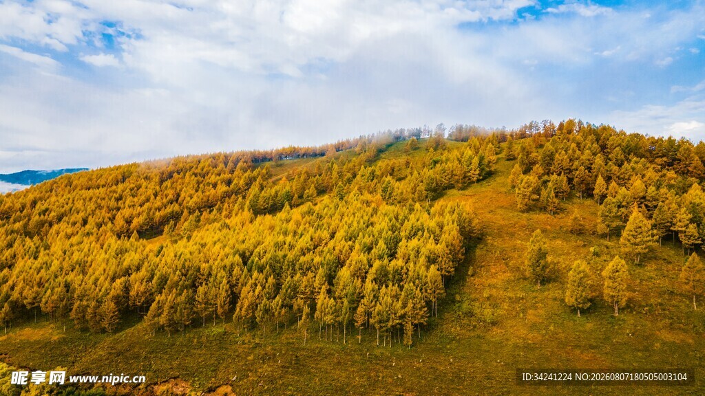 秋日山林美景
