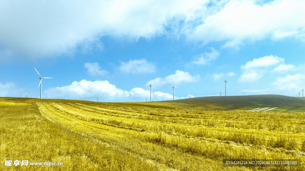 广袤草原风光蓝天绿地