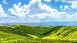 广袤绿野与蓝天白云美景