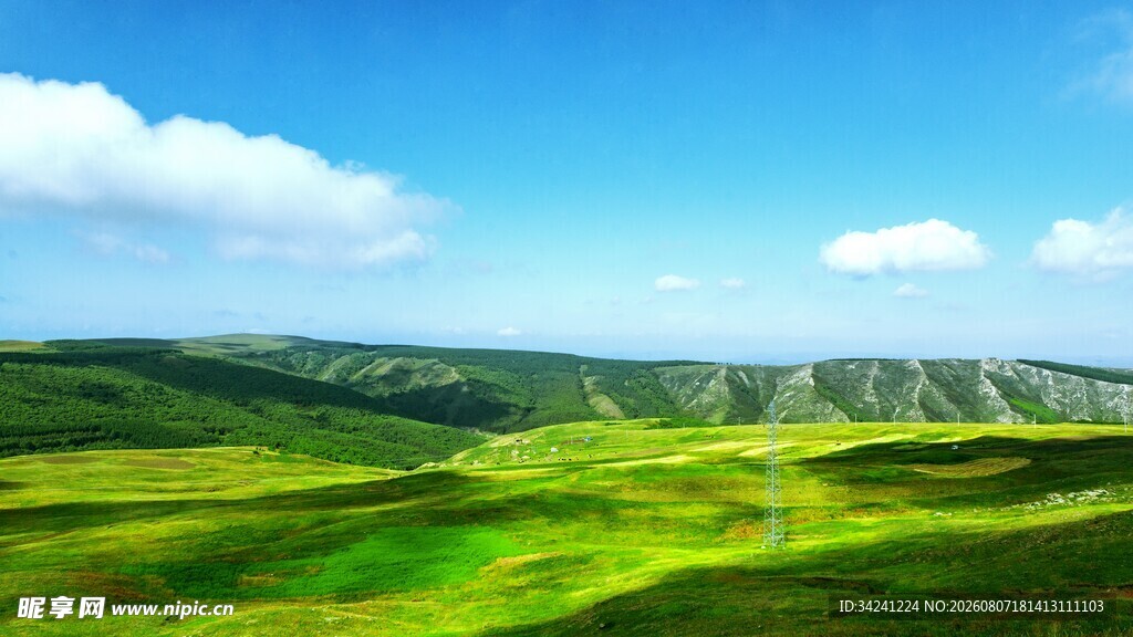 广袤绿野蓝天白云美景