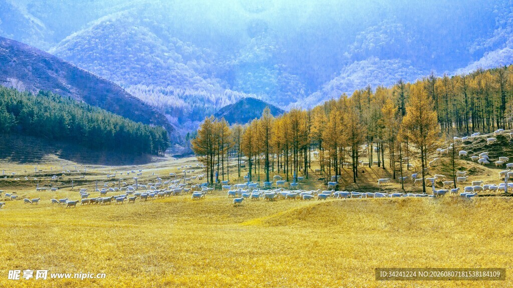 秋日山谷美景