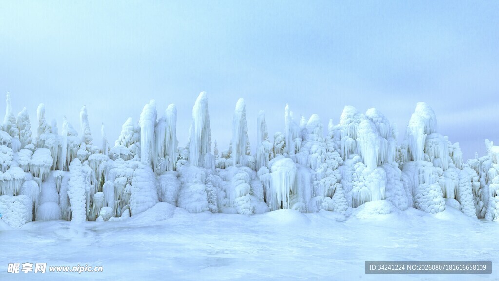 冬日雪覆森林美景