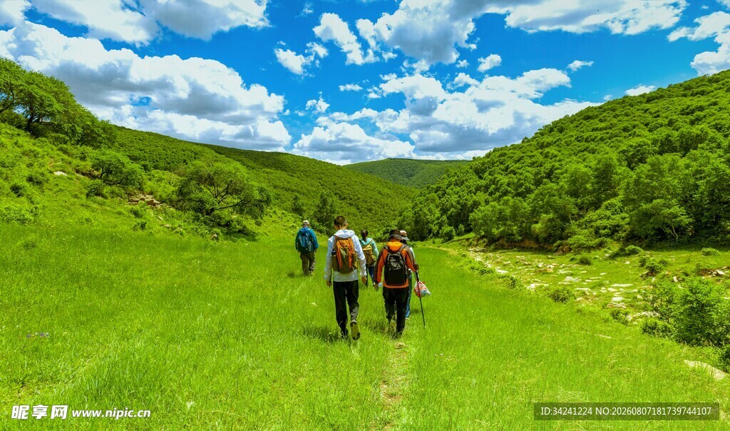 漫步绿野山间的惬意之旅