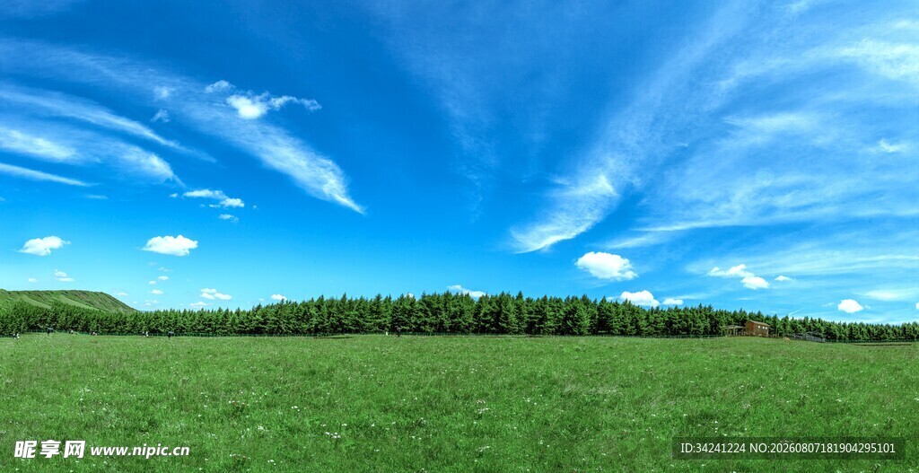 广袤绿野上的蓝天美景