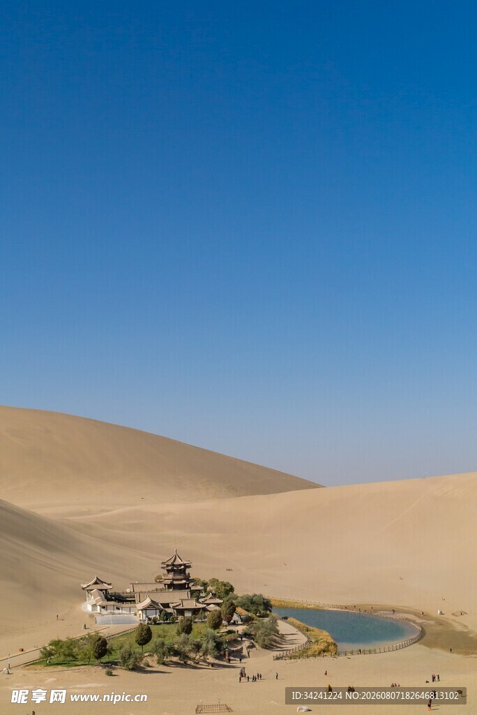 沙漠中的绿洲景观