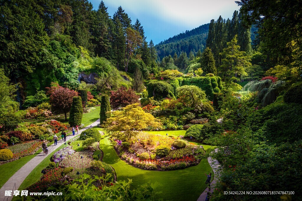 美丽山间花园景观