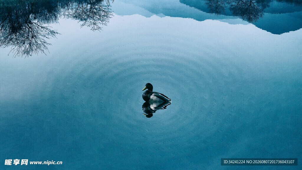 水面孤影静谧自然之景