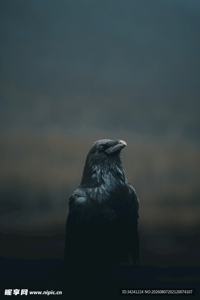 孤独身影于暮色中守望