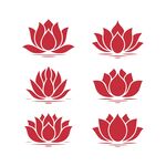红色荷花合集