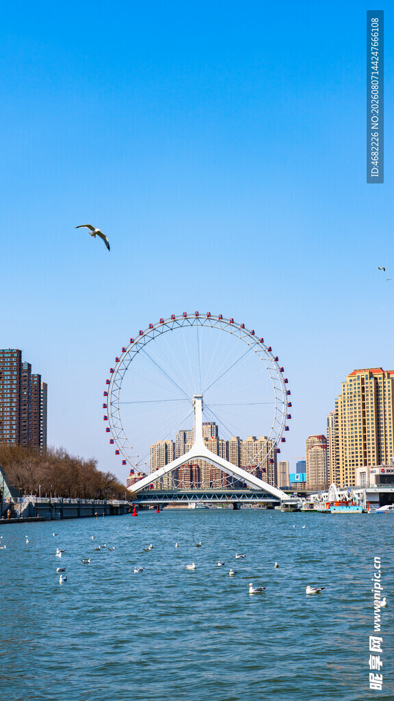 天津之眼湖畔摩天轮与飞翔海鸥