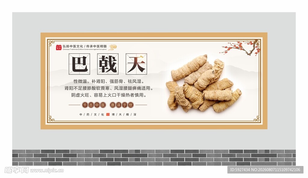中药材展板