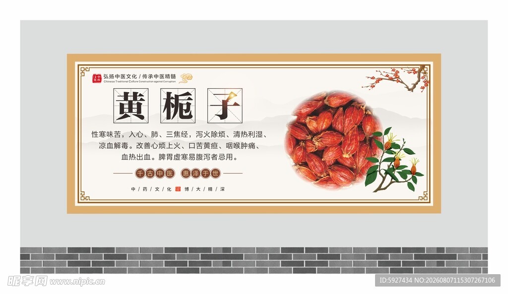中药材展板
