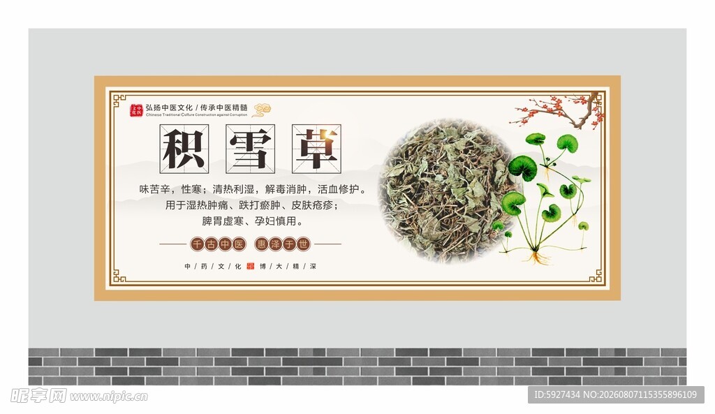 中药材展板