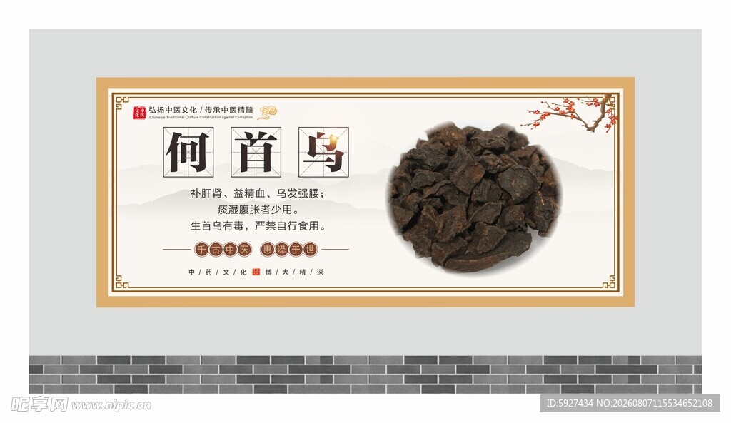 中药材展板 