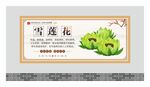 中药材展板