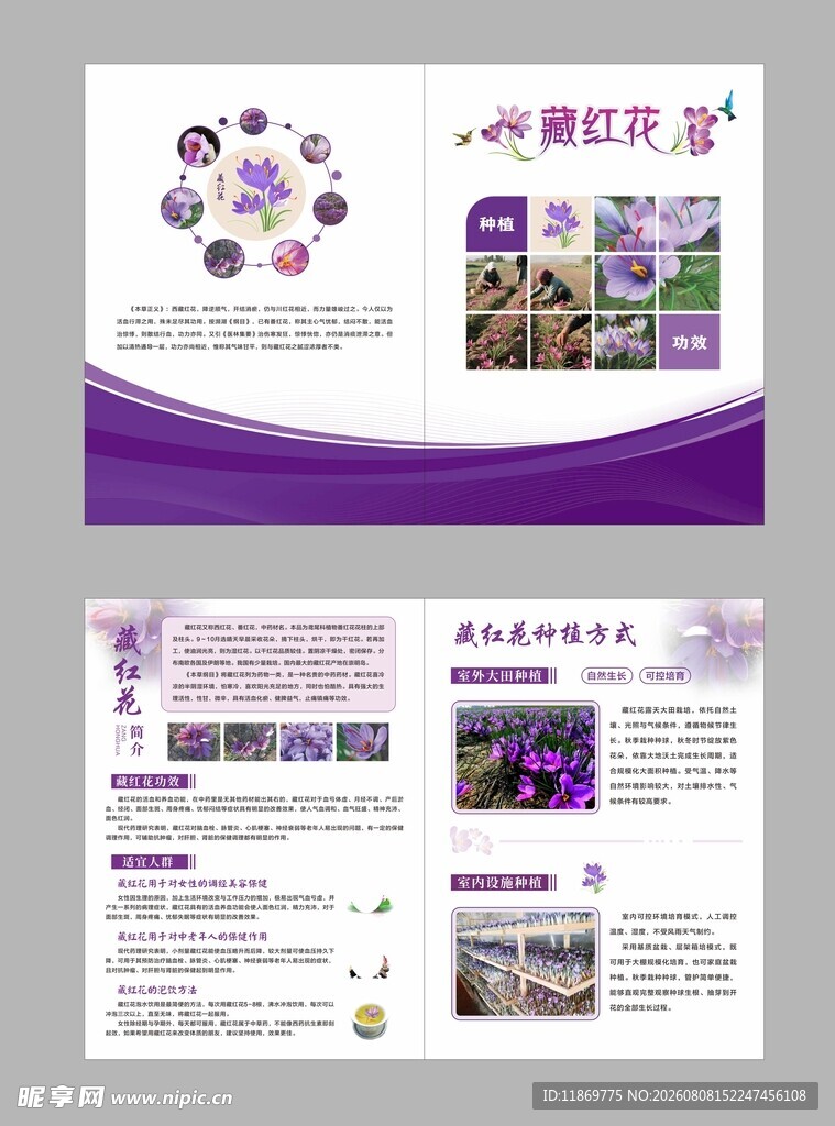 紫色系企业宣传折页设计