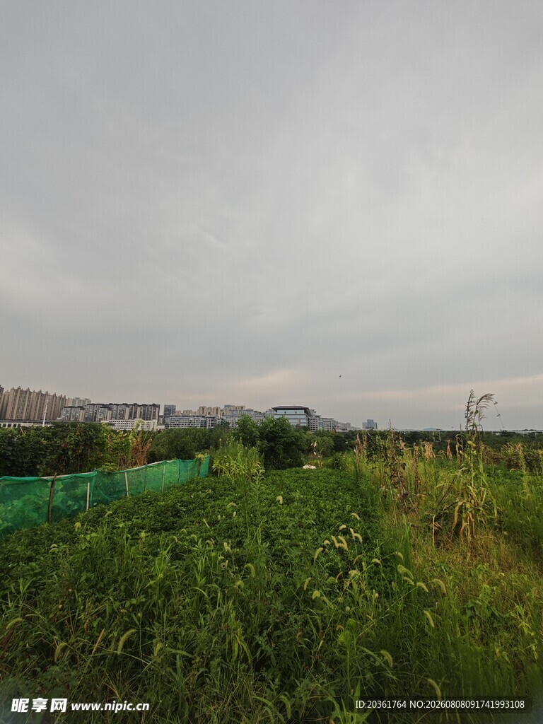 田野绿植与远处建筑景观