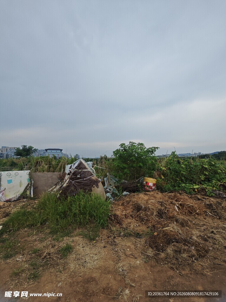 乡村田野景象