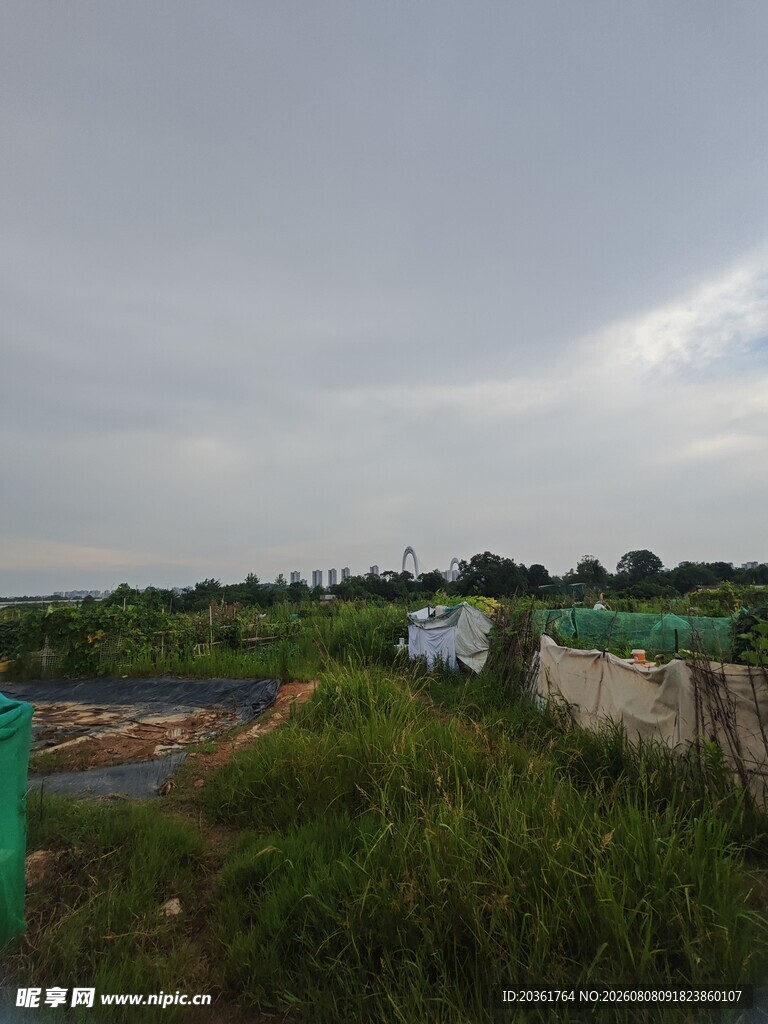 乡村田野风景