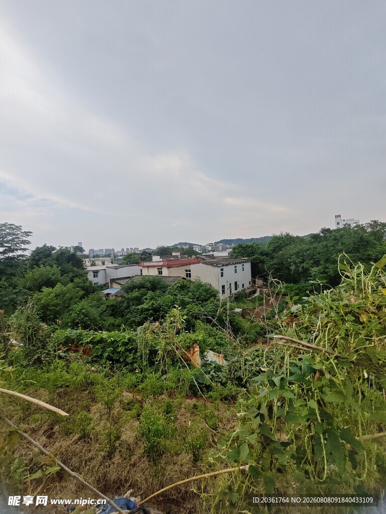乡村绿野中的房屋景观