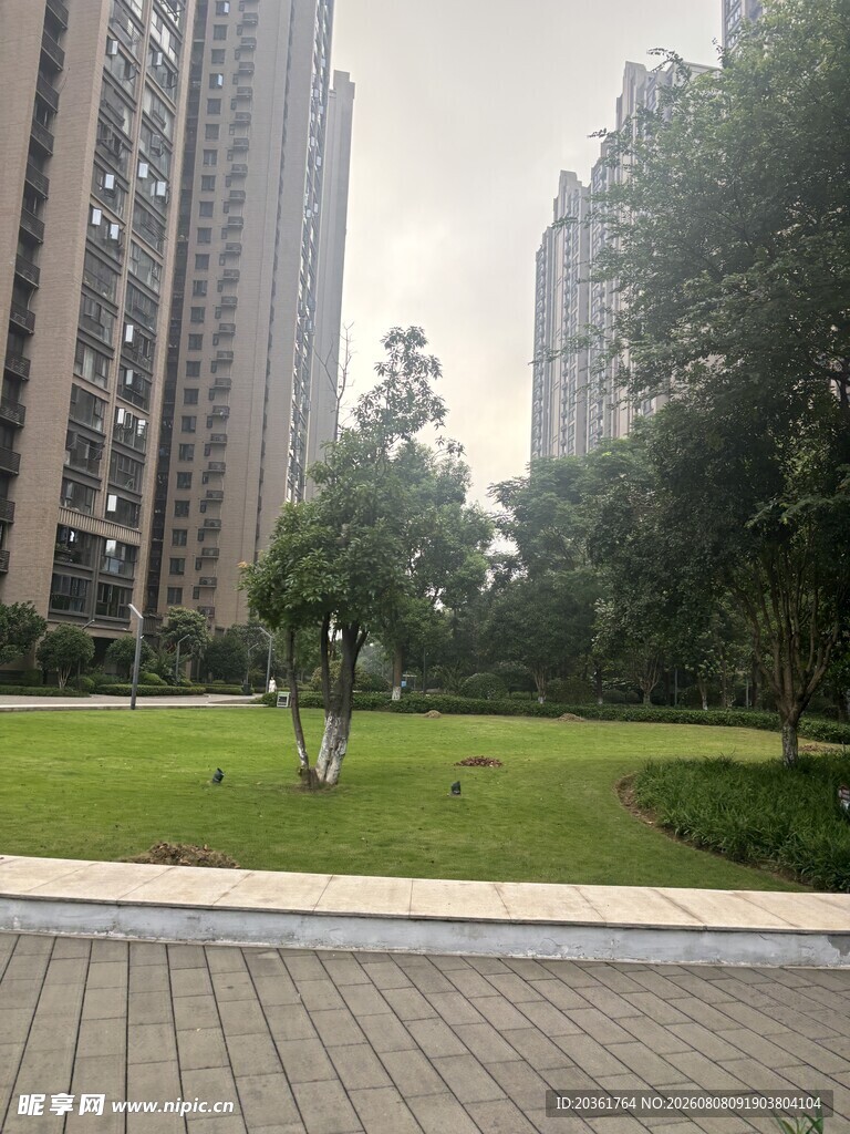 城市中的静谧绿地景观