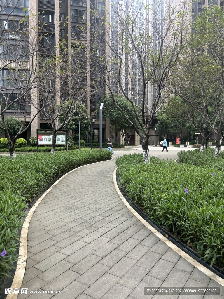 城市中的静谧园林小径