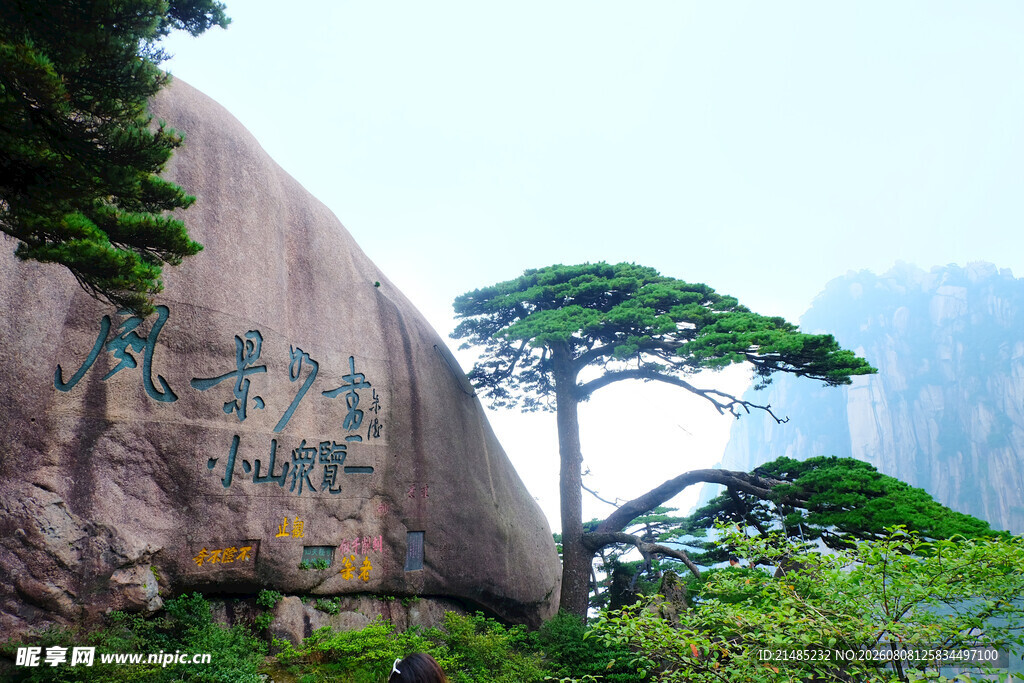 黄山奇峰与迎客松景观