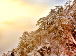 雪覆山林 霞光映照美景