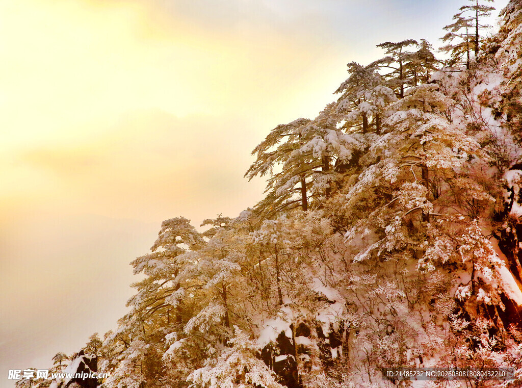 雪覆山林 霞光映照美景
