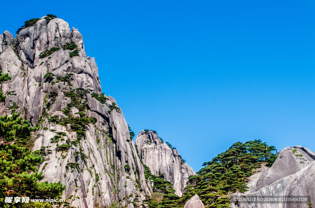 巍峨奇峰伴绿植