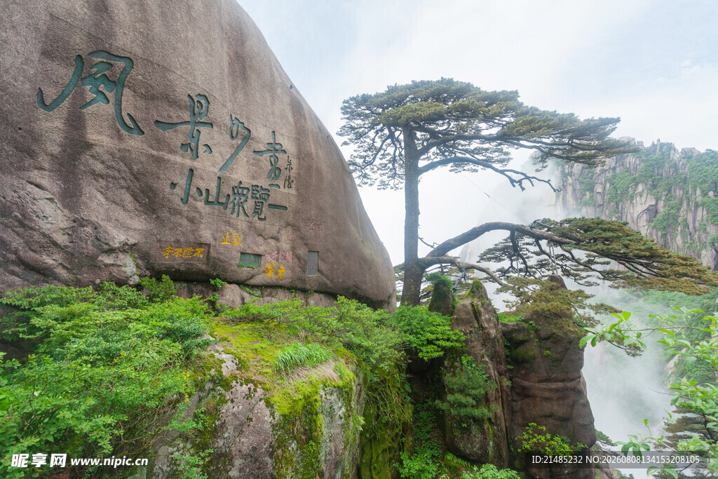 黄山奇峰旁的苍松景观