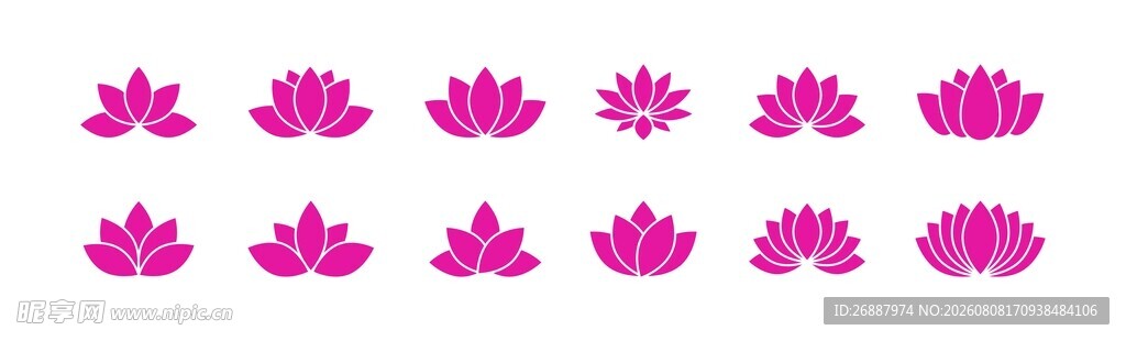 粉色莲花