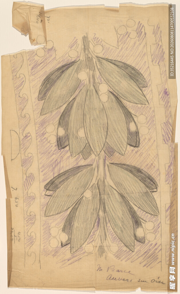 复古风格植物标本绘画