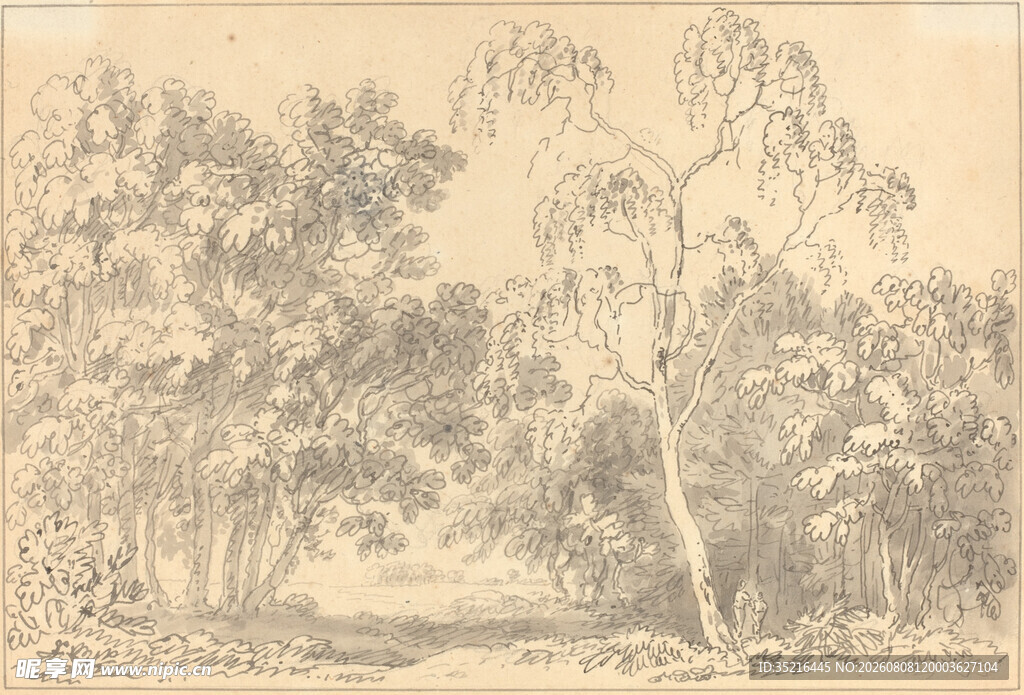 林间小径素描风景图