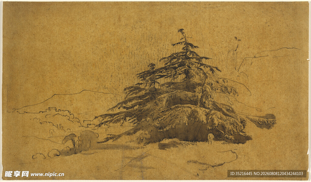 素描松树