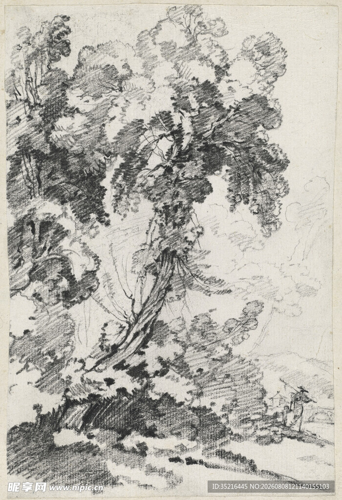 黑白树木风景素描图