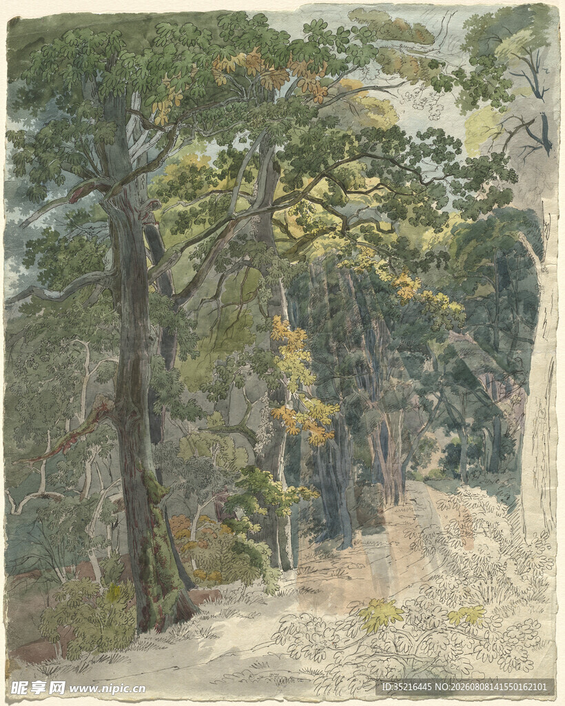 林间小道风景油画