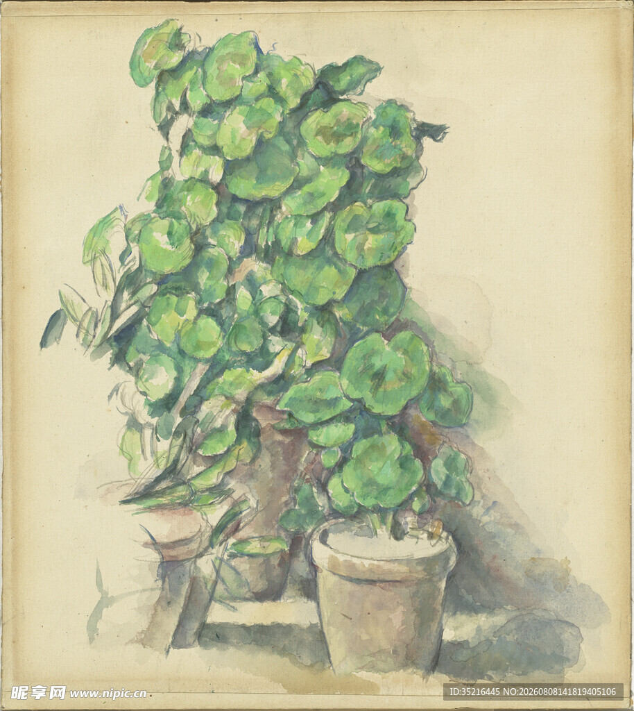 盆栽绿植绘画作品展示