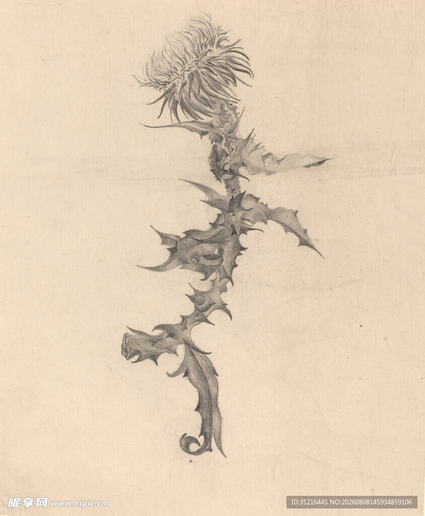 水墨风松树写意画