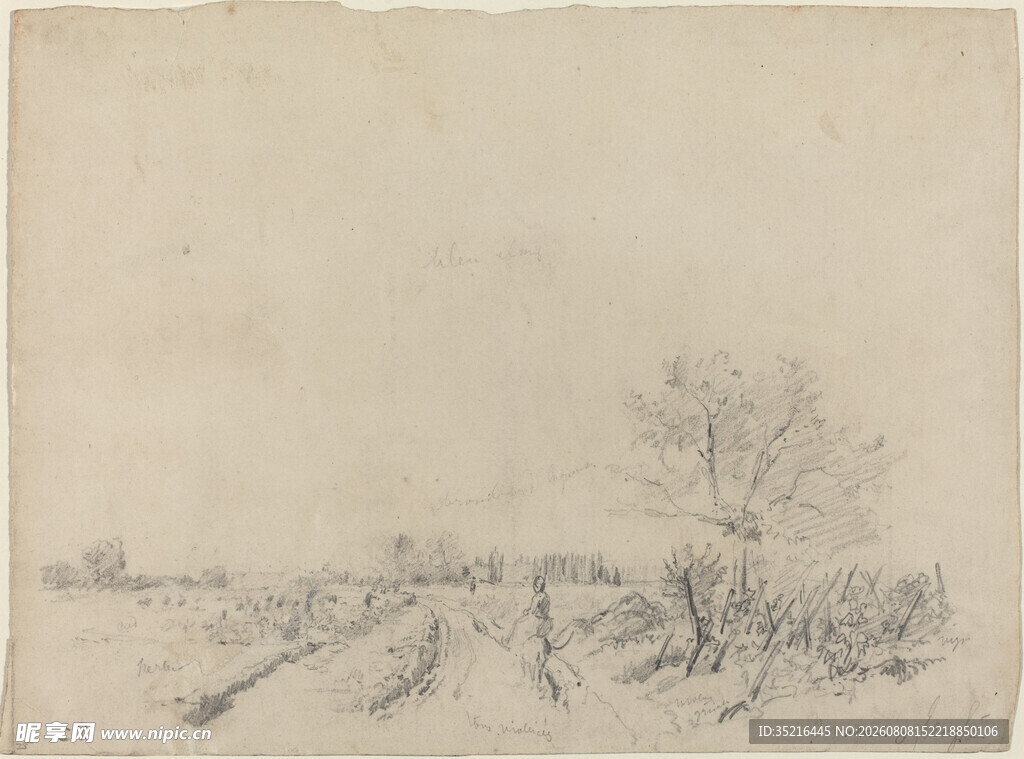 田野风景素描