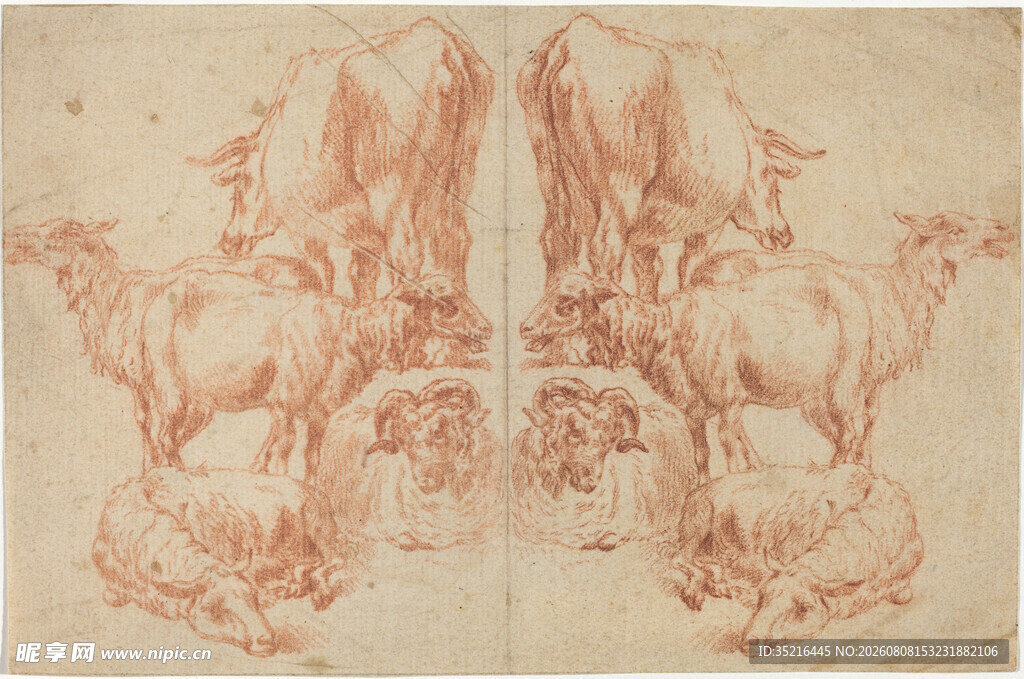 古典动物素描画作
