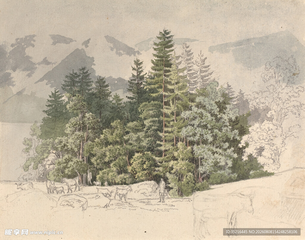 雪覆山林景观