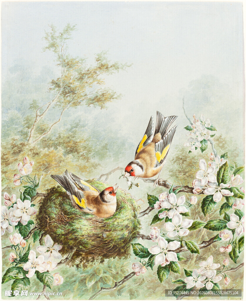 花鸟图中鸟儿筑巢景象