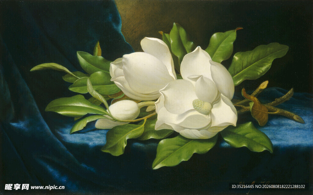 白色玉兰花静物油画